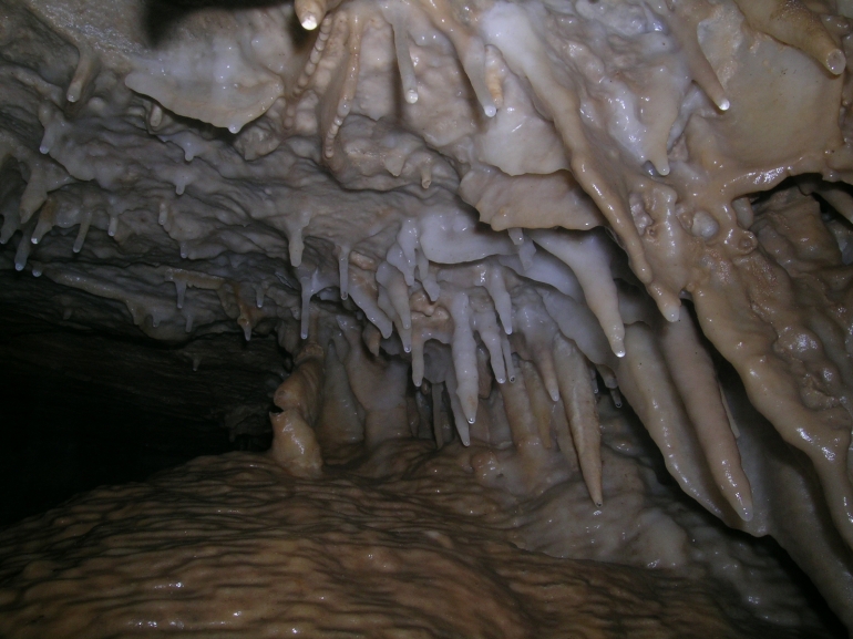 Stalactites and soda straws in Heaven, Surprise Cave.