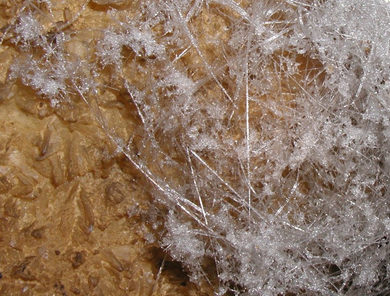 Photo of gypsum in Jugornot Cave.