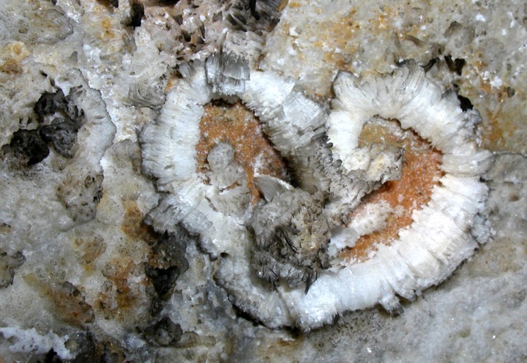 Photo of gypsum in Jugornot Cave.